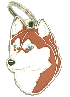 Husky Siberiano marrom <br> (placa de identificação para cães, Gravado incluído)